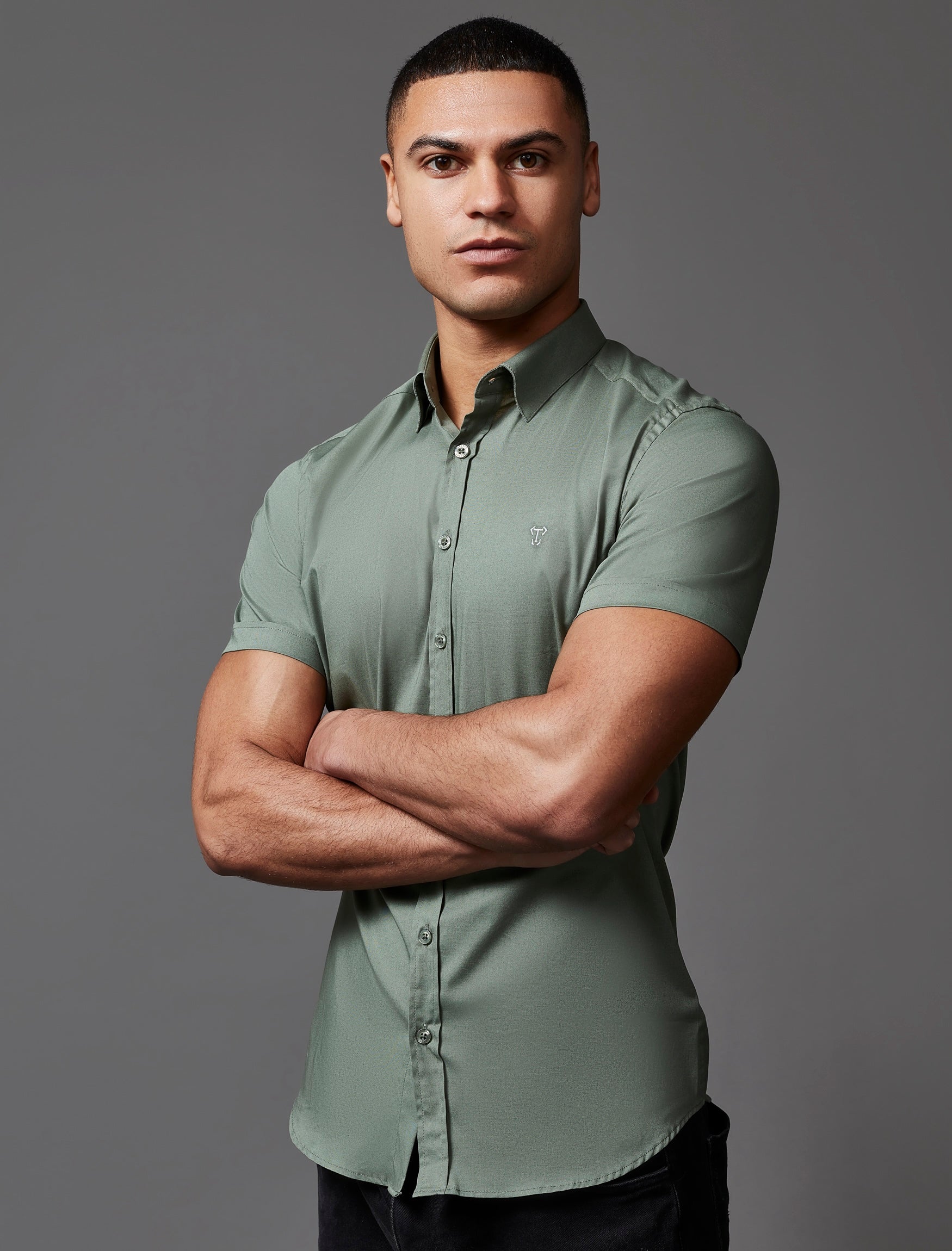 Olive Short Sleeve Vittorini Fit Shirt
