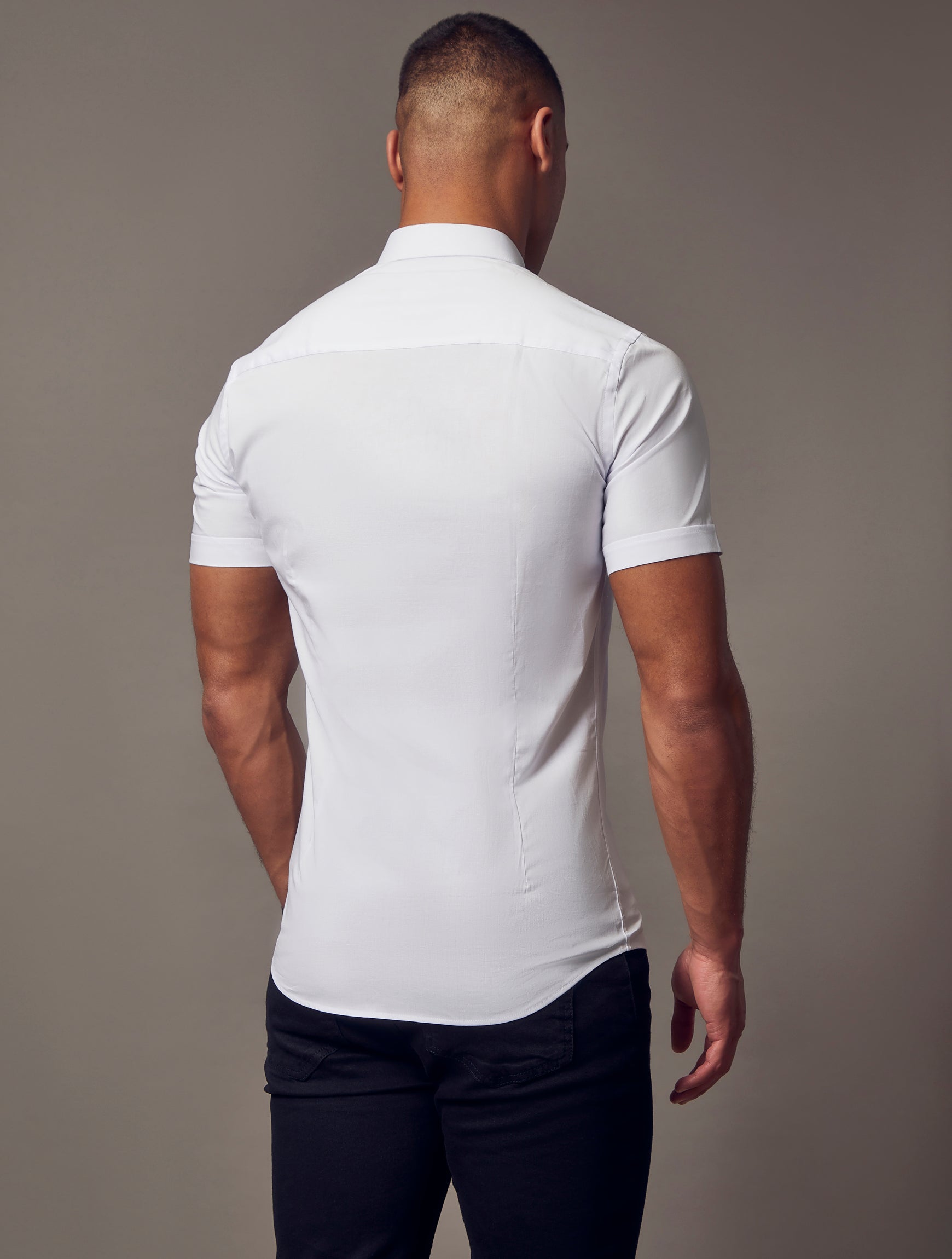 White Short Sleeve Vittorini Fit Shirt